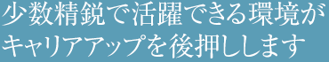 少数精鋭で活躍できる環境がキャリアアップを後押しします